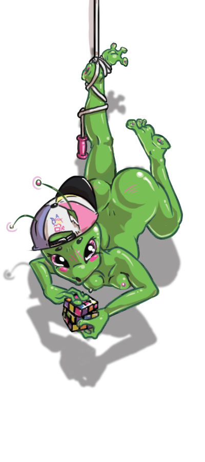 Image Set Up For Auction